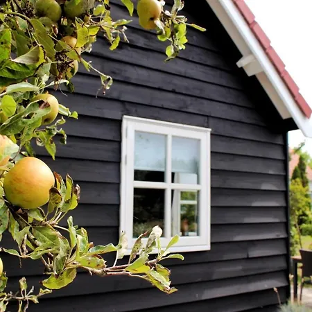 't Schouws Uusje Villa Burgh-Haamstede Buitenkant foto