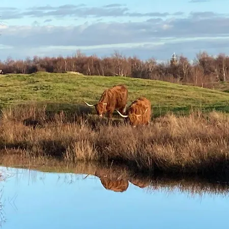 't Schouws Uusje Villa Burgh-Haamstede Buitenkant foto